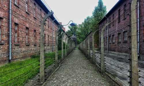 The line between facts and expression in two recent copyright cases