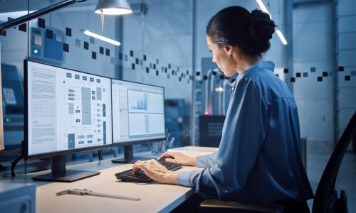 Software and copyright: practical pro-active and re-active considerations for business owners