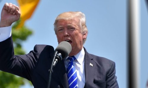 ‘Trump too small’ slogan is not deserving of trademark protection